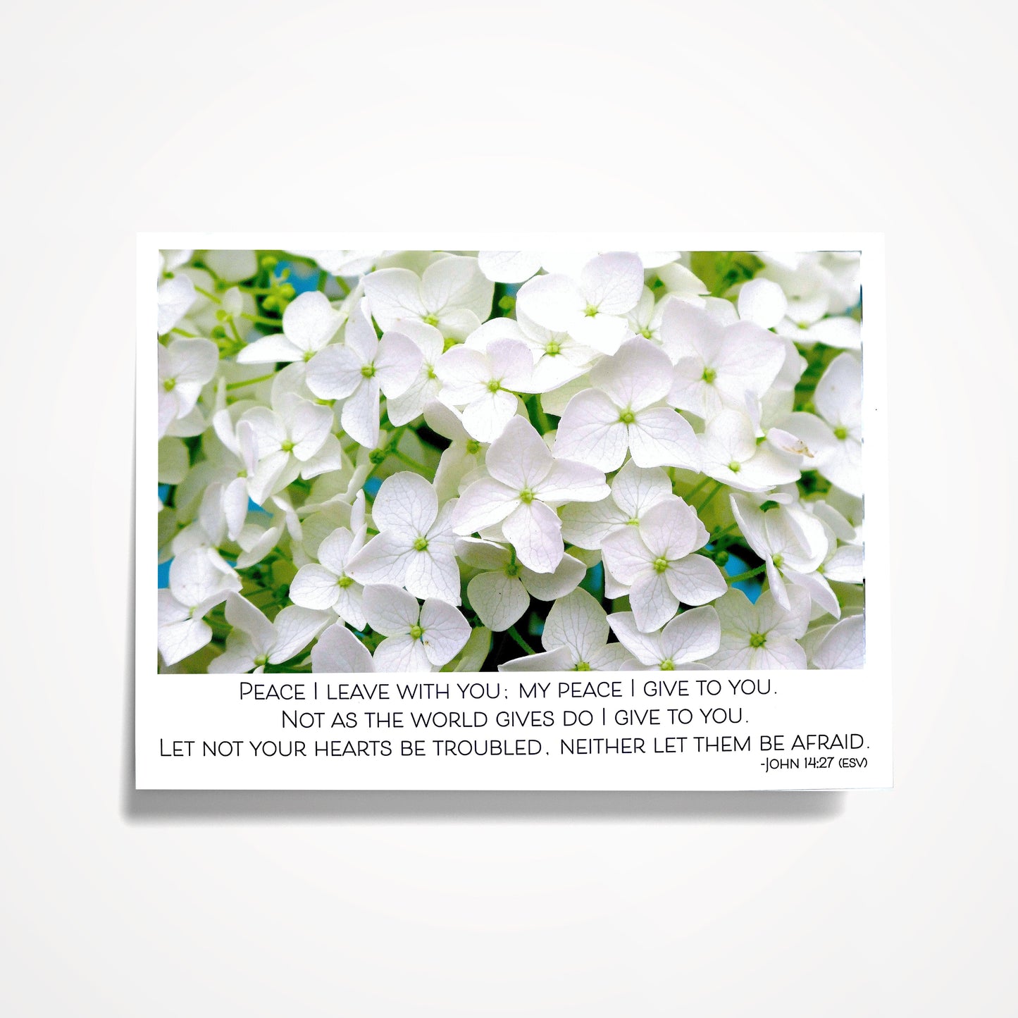 SET: PEACE (8) Assorted 5"x7" Bible Verses for PEACE (click on photo to see entire set)