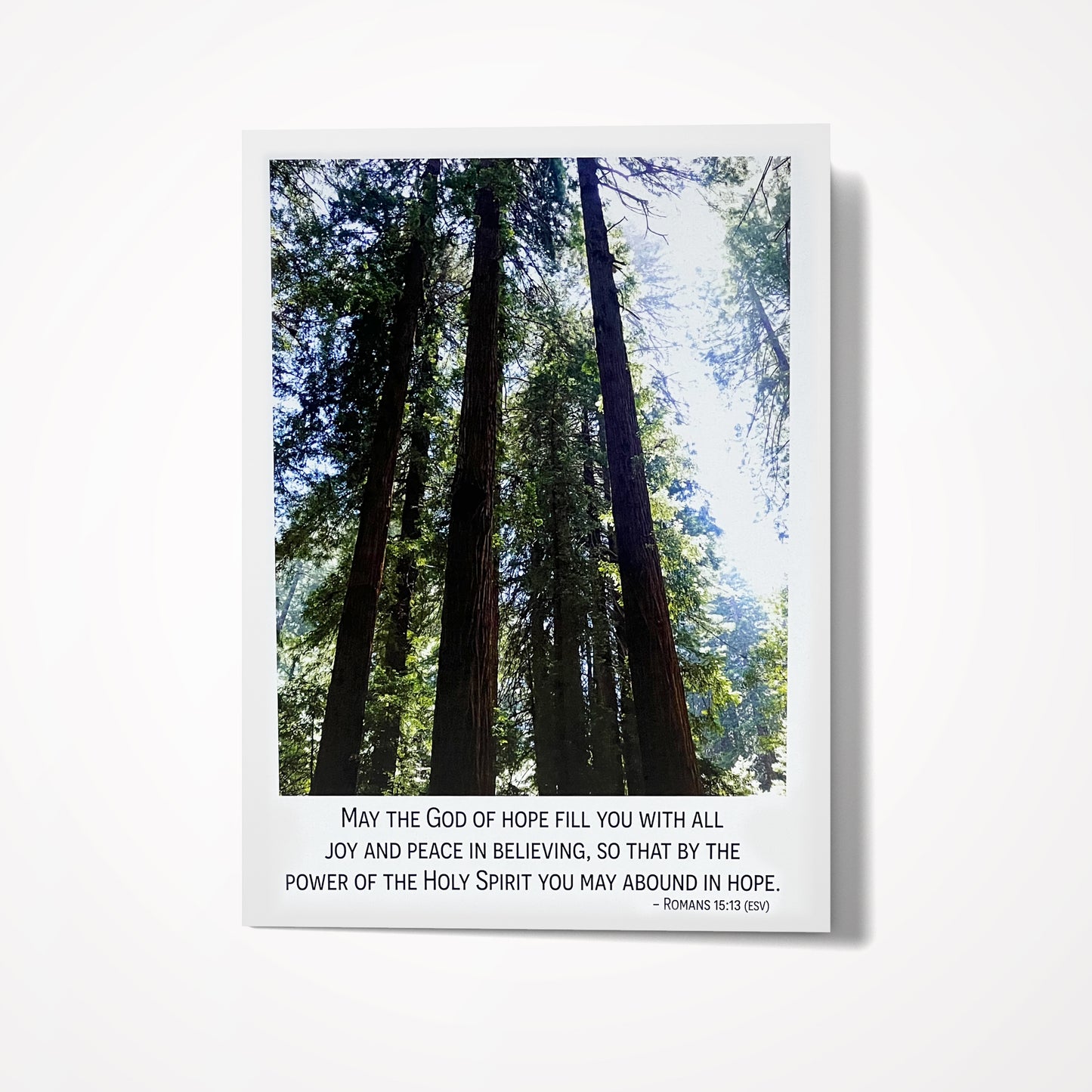 SET: PEACE (8) Assorted 5"x7" Bible Verses for PEACE (click on photo to see entire set)