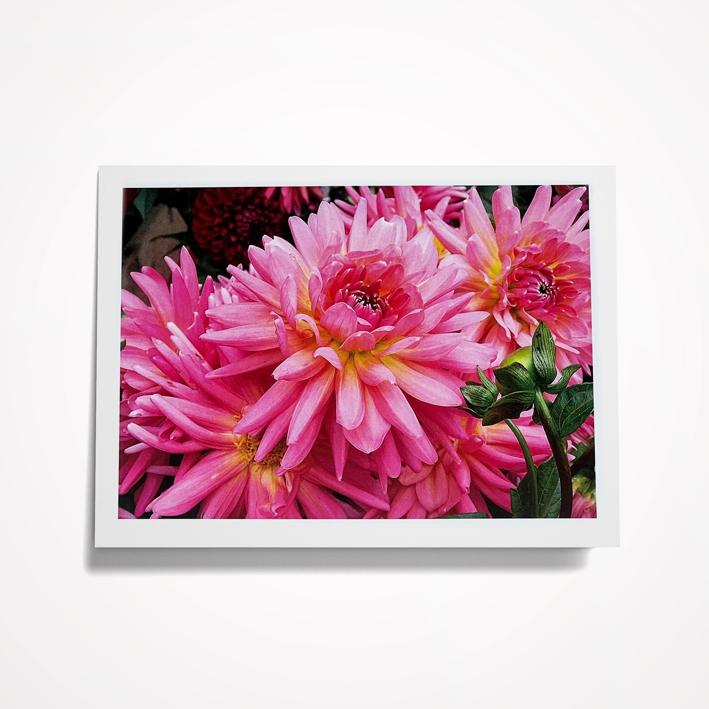 SET 2: (8) Assorted 5"x7" Floral Cards, Blank Inside (click on photo to see entire set)