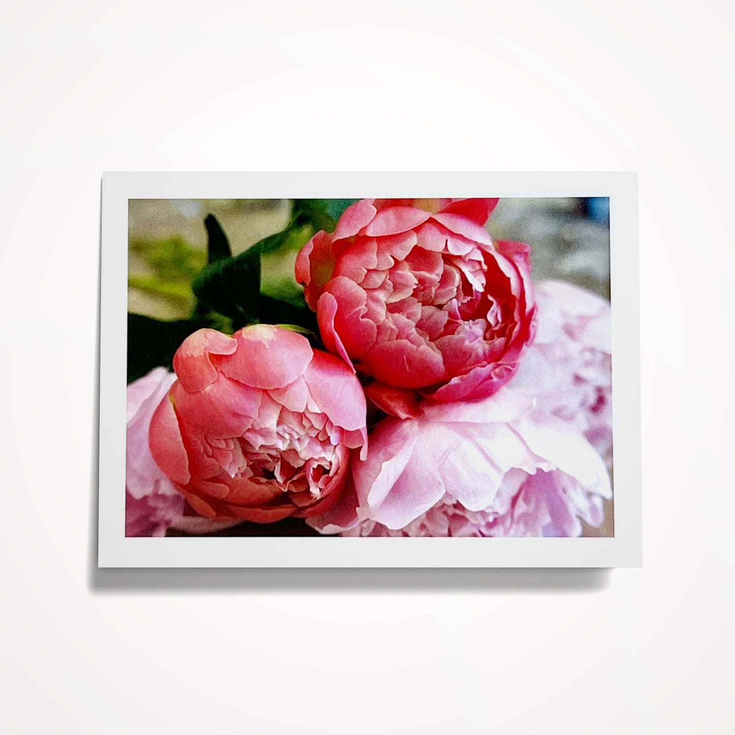 SET: Create your own set! 8 cards of your choice $35 (SAVE $4.92)