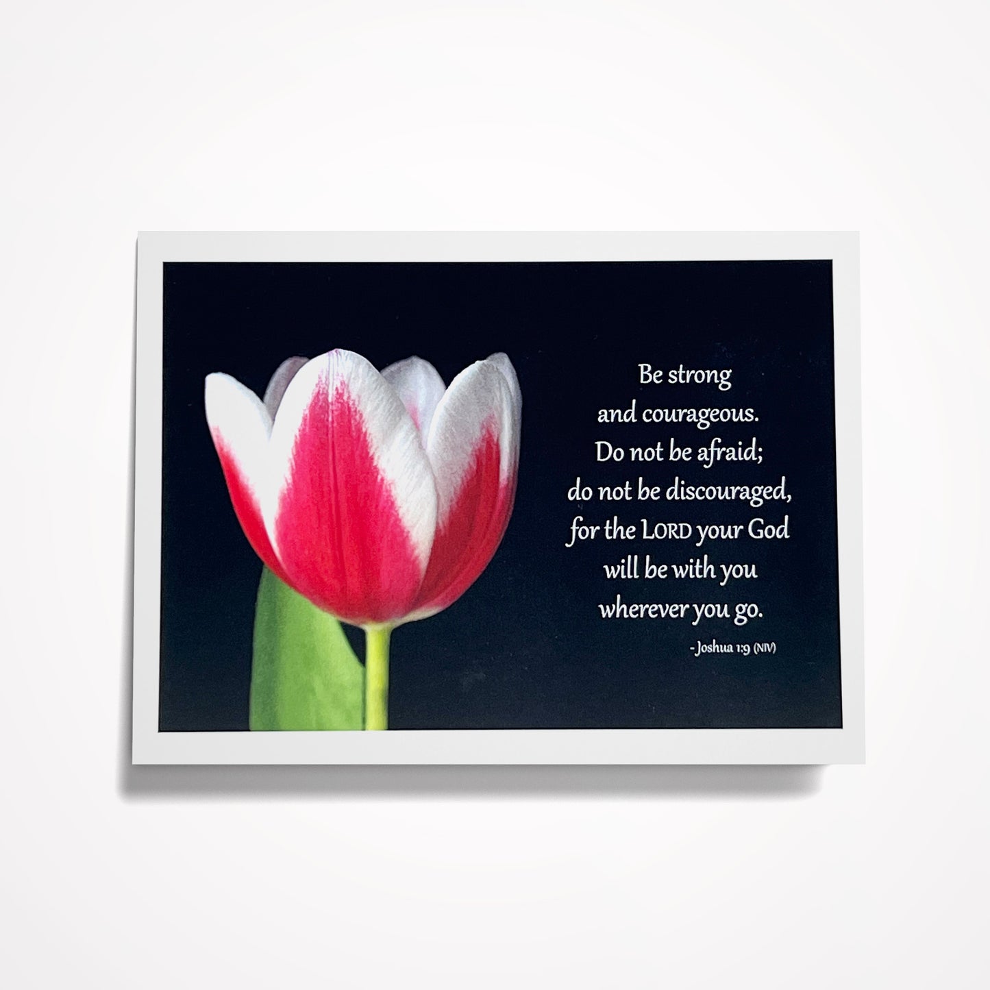 SET: Create your own set! 8 cards of your choice $35 (SAVE $4.92)