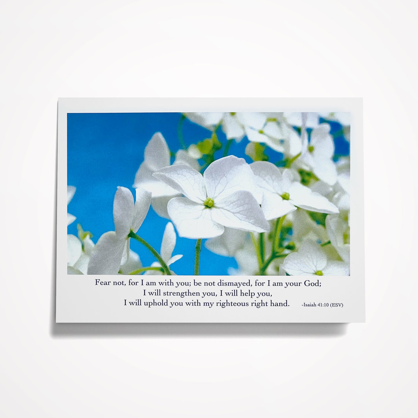 SET: Create your own set! 8 cards of your choice $35 (SAVE $4.92)