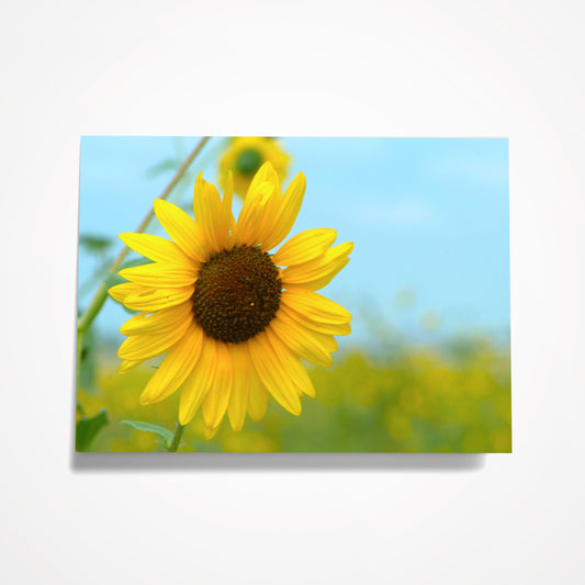 MINIATURE ENCLOSURE CARD: Sunflower. Blank Inside. Folded to size: 2.5"x 3.5"