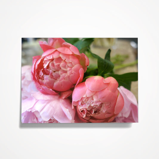 MINIATURE ENCLOSURE CARD: Pretty Pink Peonies.  Blank Inside. Folded to size: 2.5"x 3.5"