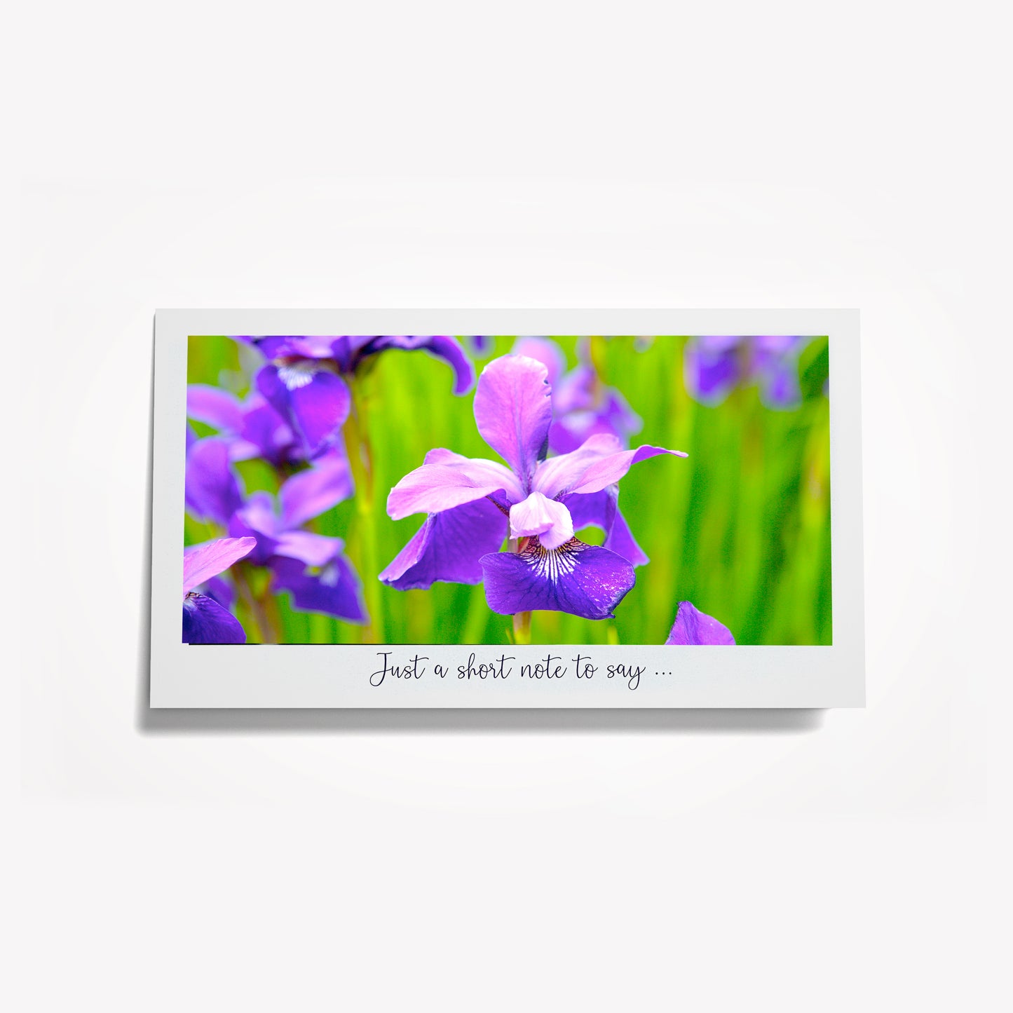 Short Notes: Blue/Purple Iris in Field; Fleur-de-lis. Size: 6.25"x3.5"