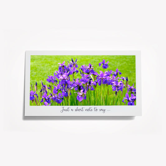 Short Notes:  Field of Blue/Purple Irises; Fleur-de-lis. Size: 6.25"x3.5"