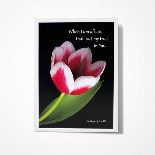 When I am afraid, I will put my trust in You. Psalm 56:3