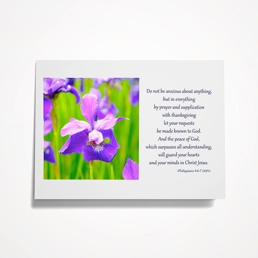 SET: PEACE (8) Assorted 5"x7" Bible Verses for PEACE (click on photo to see entire set)