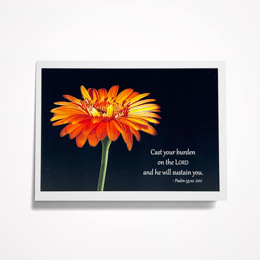 SET: Create your own set! 8 cards of your choice $35 (SAVE $4.92)