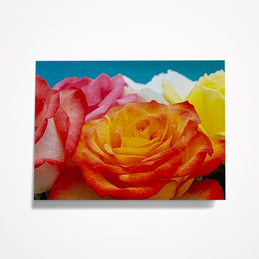 MINIATURE ENCLOSURE CARD: Colorful Roses. Blank Inside. Folded to size: 2.5"x 3.5"