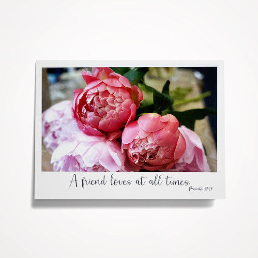 SET A: (8) Assorted 5"x7" Bible Verse Favorites (click on photo to see entire set)