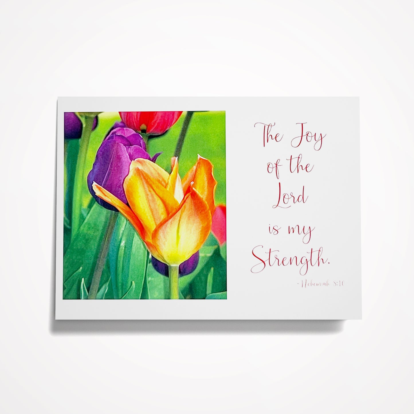 The joy of the Lord is my strength....-Nehemiah 8:10