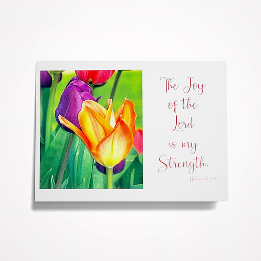 The joy of the Lord is my strength....-Nehemiah 8:10