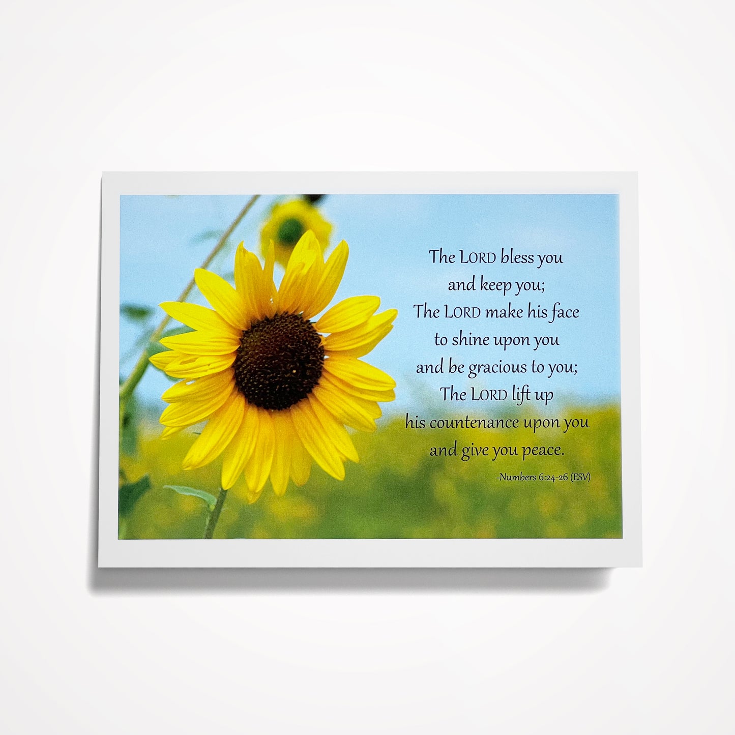 SET A: (8) Assorted 5"x7" Bible Verse Favorites                                                                                         (click on photo to see entire set)