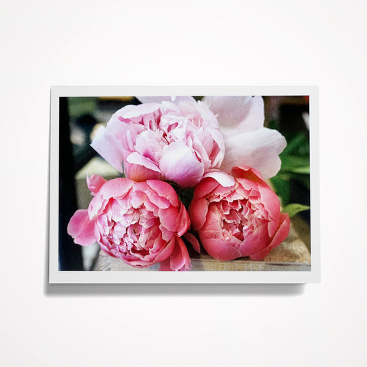 Photo Card, Blank 5"x7": Trio of Pink Peonies