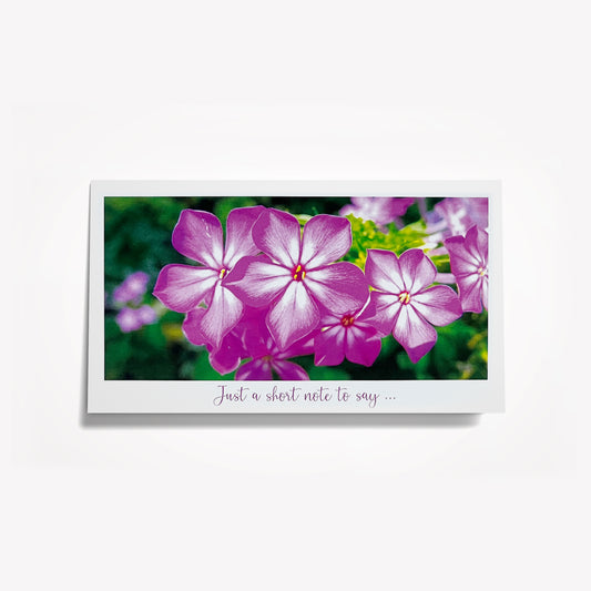 Short Notes: Purple Pink and White Flowers. Size: 6.25"x3.5"