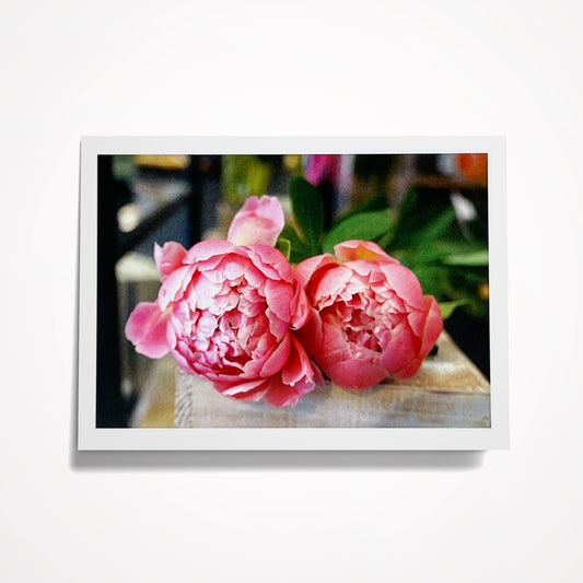 Photo Card, Blank 5"x7": A Pair of Pink Peonies