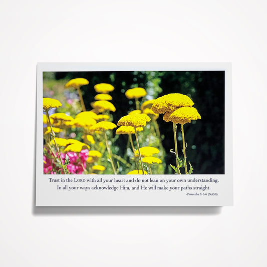 Trust in the LORD with all your heart....-Proverbs 3:5-6